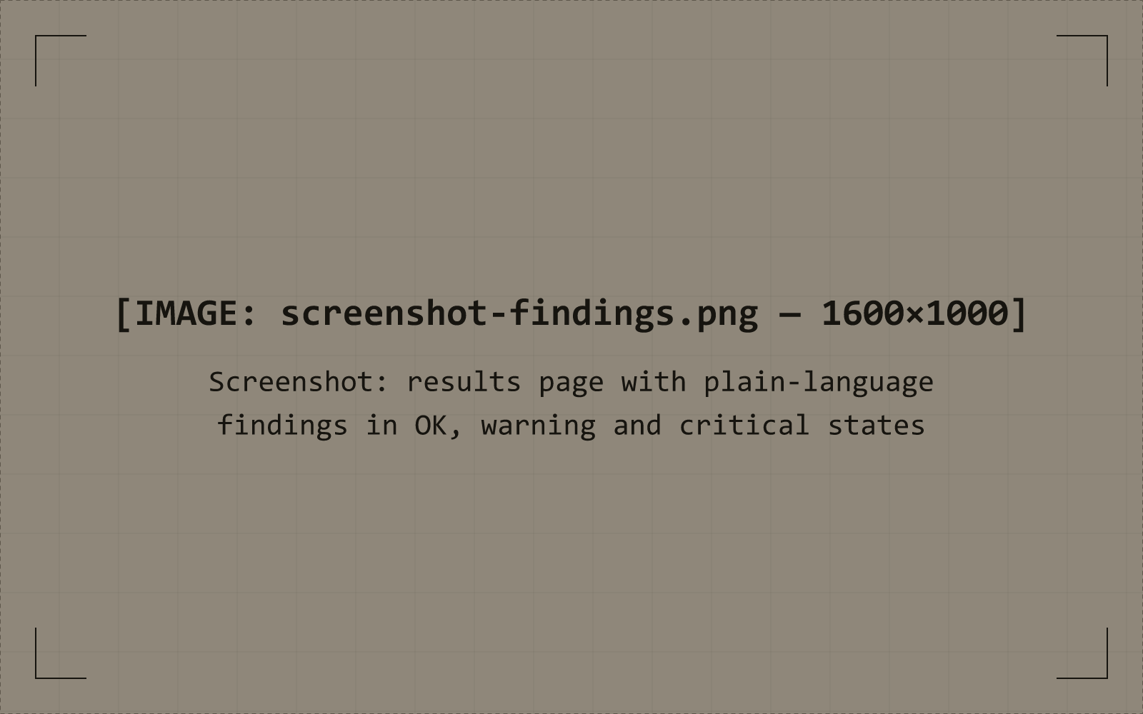 Muon Insight results page showing findings marked OK, warning and critical