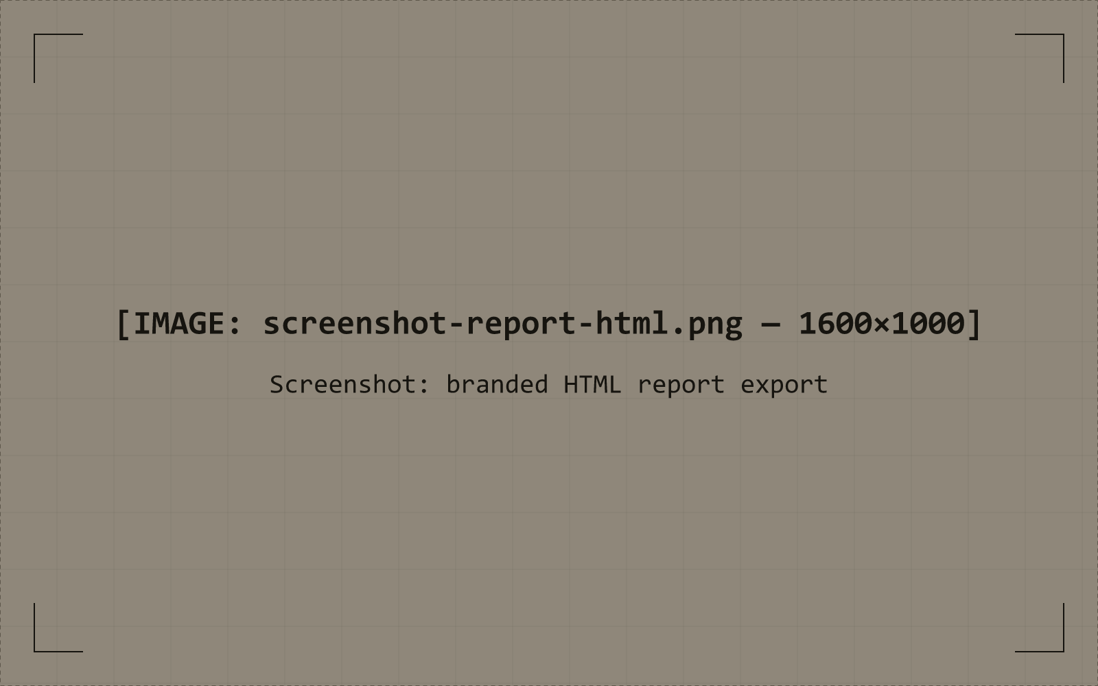 A Muon Insight HTML report